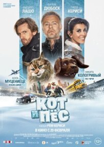 Кіт і пес