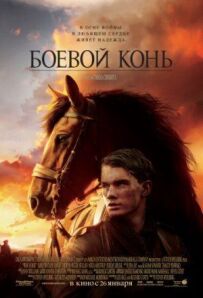Бойовий кінь
