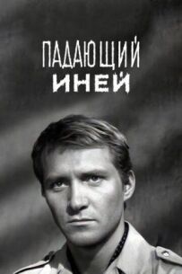 Падаючий іній