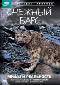 BBC: Сніговий барс: Міфи та реальності