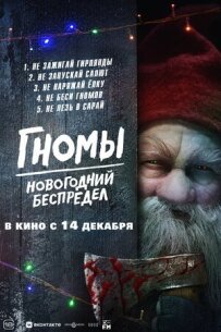 Гноми. Новорічне беззаконня
