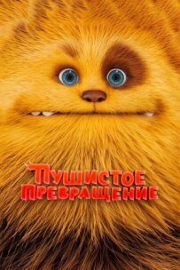 Пухнасте перетворення