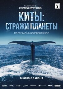 Кити: Вартові планети