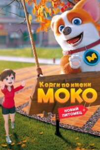 Коргі на ім'я Моко. Новий вихованець