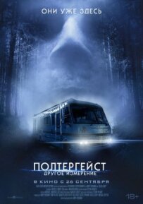 Полтергейст: Інший вимір