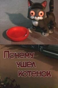 Чому пішло кошеня