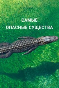 Найнебезпечніші істоти