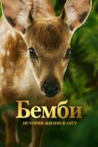 Бембі. Історія життя в лісі