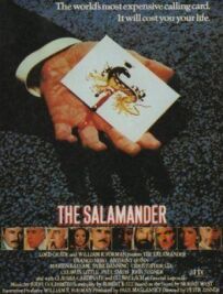 Salamander