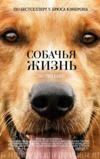 Собаче життя