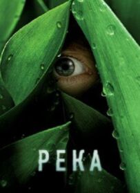 Річка