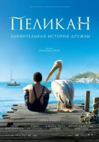 Пелікан