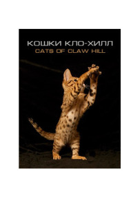 Кошки Кло-Хилл