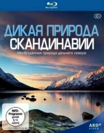 Скандинавська пустеля