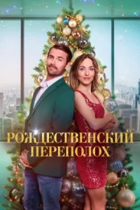 Різдвяний переполох