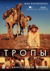 Стежки