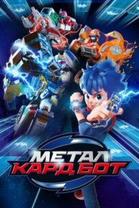 Бот для металевих карток