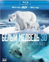 Полярні ведмеді