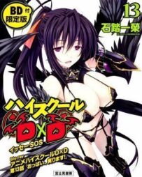 Вища школа DxD