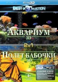 Політ метелика 3D