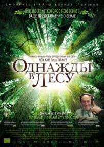 Одного разу в лісі