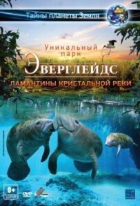 Еверглейдс 3D: Ламантини Кришталевої річки