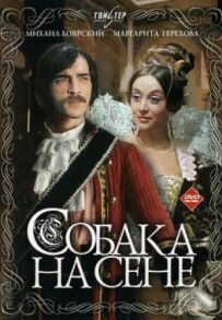 Собака на сіні