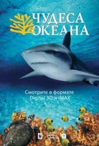 Чудеса океану