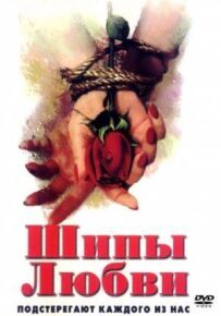 Шипи любові