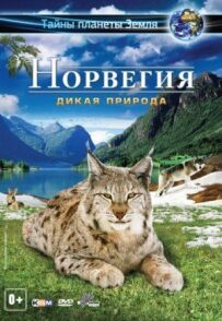 Норвегія 3D: Дика природа