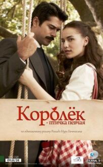 Корольок - пташка співоча