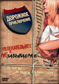 Дорожня пригода