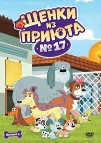 Цуценята з притулку № 17