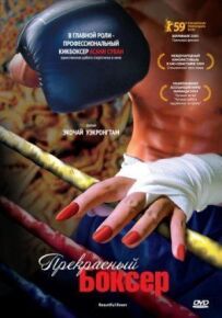 Прекрасний боксер