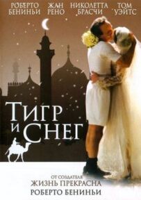 Тигр і сніг