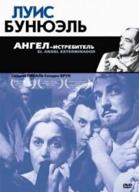 Ангел-винищувач