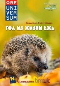 Рік із життя їжака