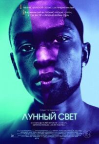 Місячне світло