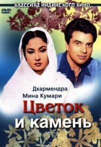 Квітка і камінь