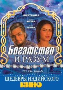 Багатство і розум